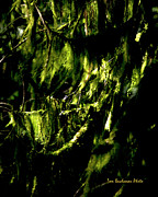 Poster / Fine Art Print